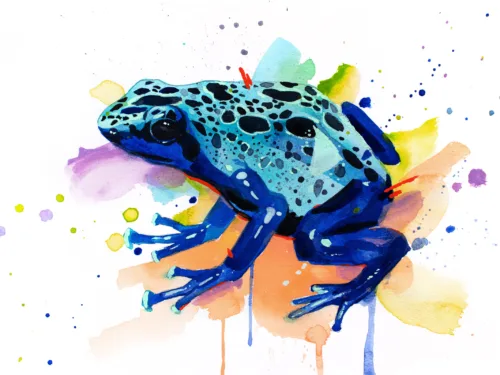 Blue poison dart frog,, watercolor
