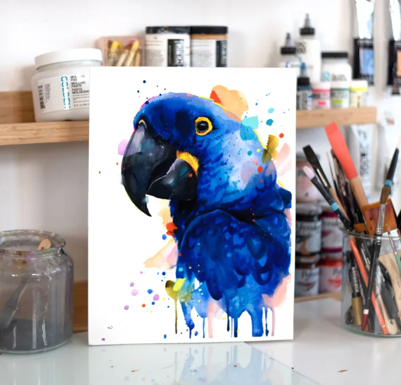 Hyacinth macaw parrot, watercolor Hyacinth macaw parrot, watercolor