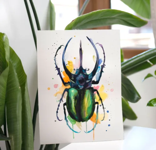 Atlas beetle