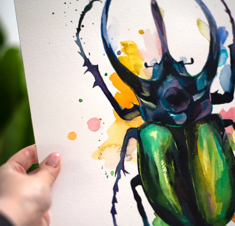 Atlas beetle Atlas beetle