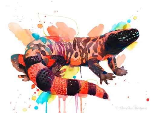 Gila monster watercolor painting, limited edition art print by Slaveika Aladjova, view 2