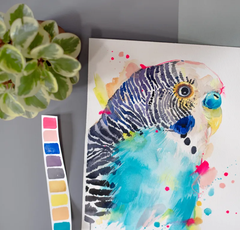 Budgerigar watercolor painting by Slaveika Aladjova, view 4