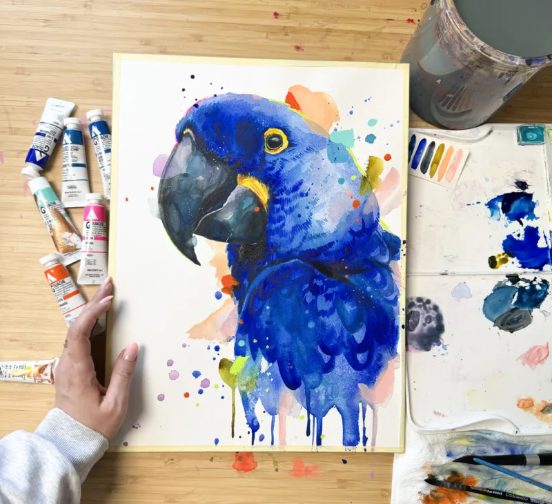 Hyacinth macaw watercolor painting, limited edition art print by Slaveika Aladjova, view 5