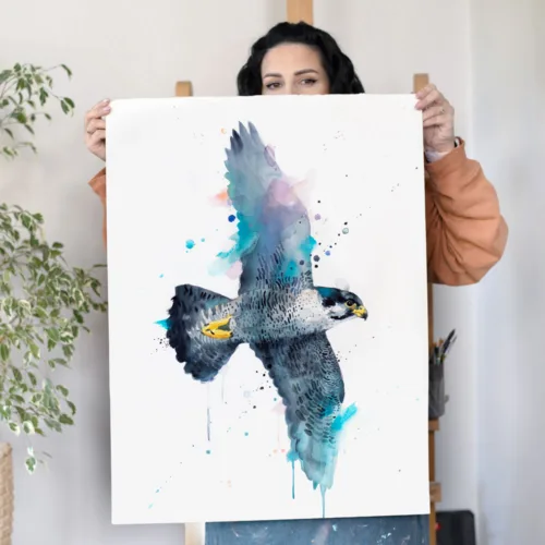Peregrine falcon