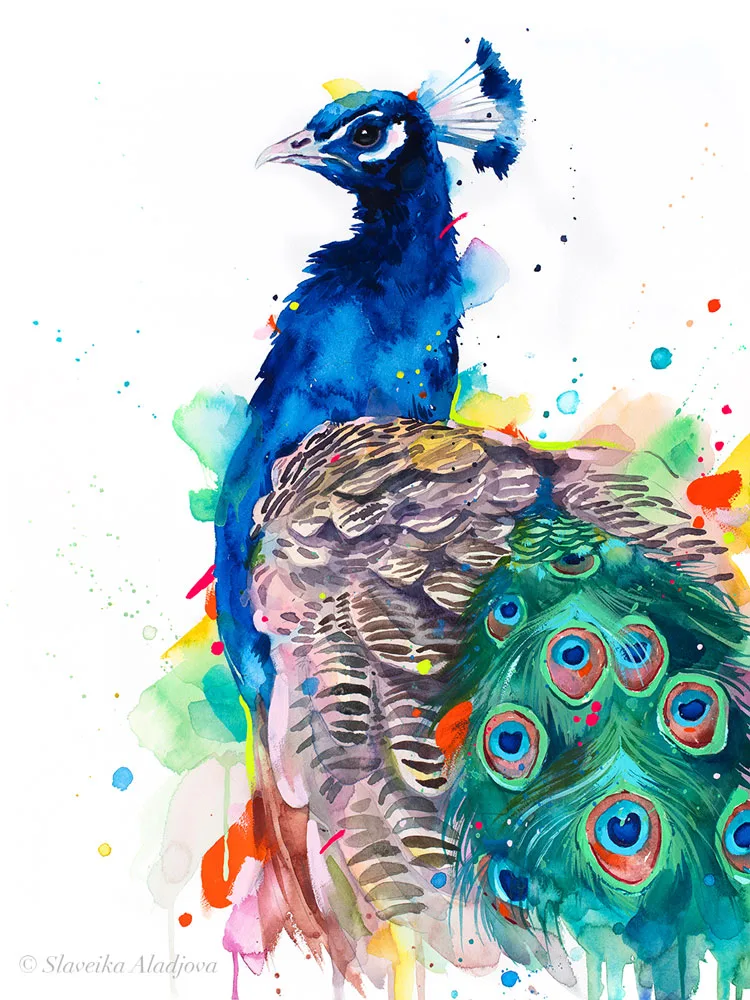 Peacock watercolor painting, limited edition art print by Slaveika Aladjova, view 2