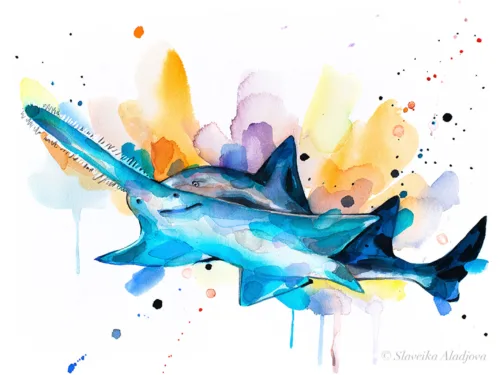 Sawfish