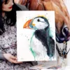 Atlantic puffin Atlantic puffin