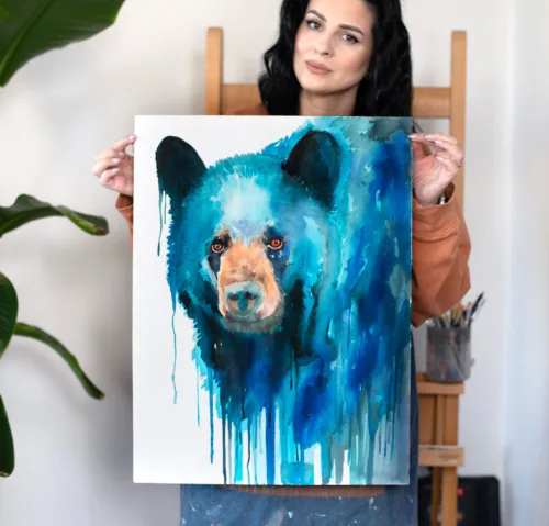 American black bear