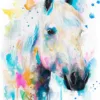 Percherons horse Percherons horse