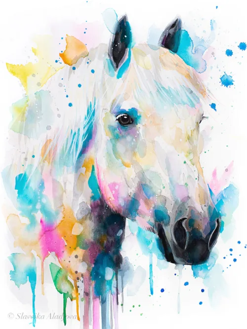 Percherons horse