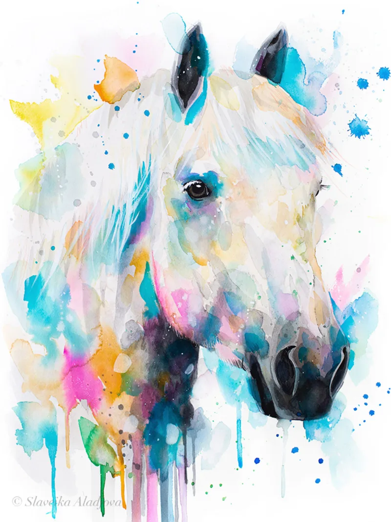 Percherons horse Percherons horse