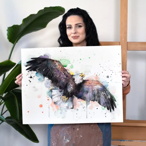 Bald Eagle