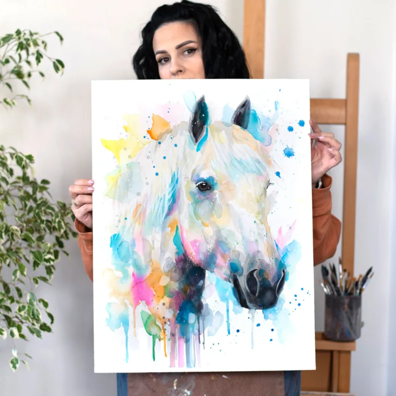 Percherons horse Percherons horse