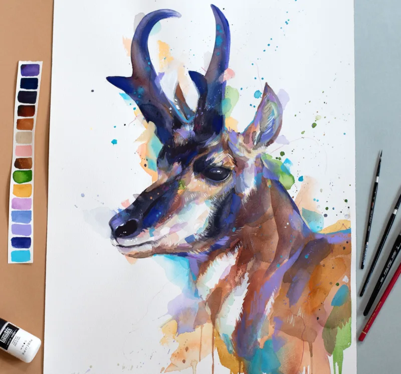 Pronghorn Pronghorn