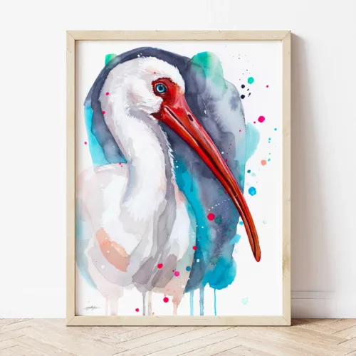 American white ibis watercolor painting, limited edition bird art print by Slaveika Aladjova