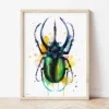 Atlas Beetle watercolor painting the artwork on the T-shirt by Slaveika Aladjova