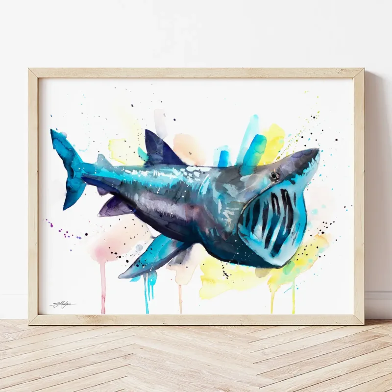 Basking Shark watercolor painting the artwork on the T-shirt by Slaveika Aladjova