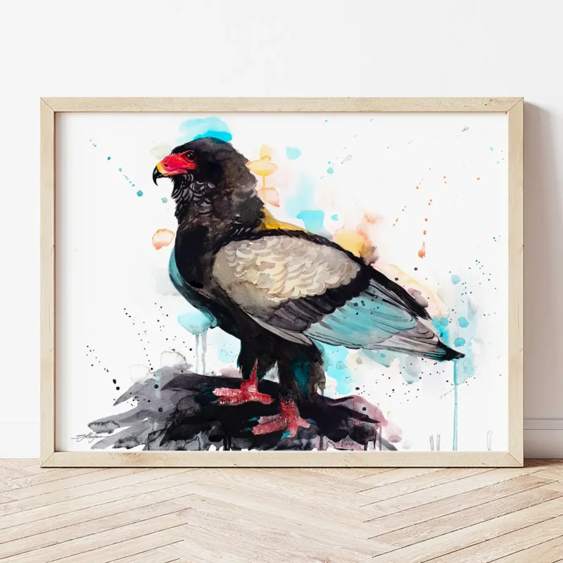 Bateleur Eagle watercolor painting the artwork on the T-shirt by Slaveika Aladjova