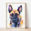 Belgian Malinois watercolor painting the artwork on the T-shirt by Slaveika Aladjova