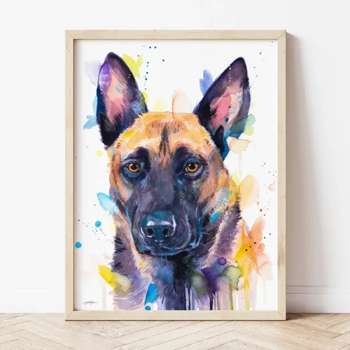 Belgian Malinois watercolor painting the artwork on the T-shirt by Slaveika Aladjova