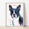 Boston Terrier watercolor painting the artwork on the T-shirt by Slaveika Aladjova