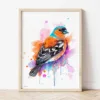 Chaffinch watercolor painting the artwork on the T-shirt by Slaveika Aladjova
