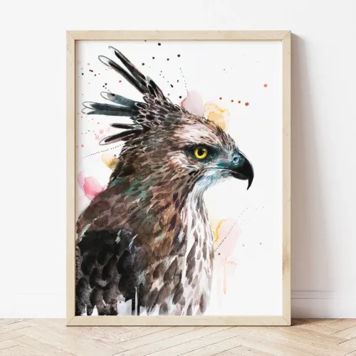 Changeable Hawk-Eagle watercolor painting the artwork on the T-shirt by Slaveika Aladjova