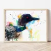 Common Loon watercolor painting the artwork on the T-shirt by Slaveika Aladjova
