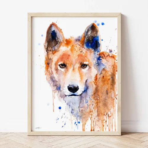 Dingo watercolor painting the artwork on the T-shirt by Slaveika Aladjova