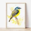 Eastern Yellow Robin watercolor painting the artwork on the T-shirt by Slaveika Aladjova