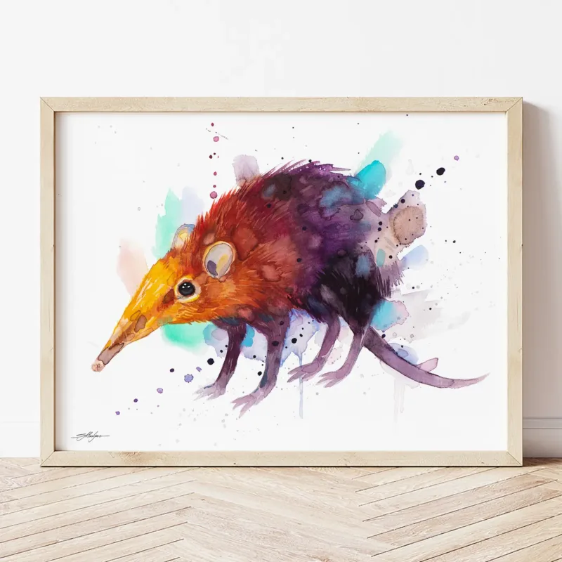 Elephant Shrew watercolor painting the artwork on the T-shirt by Slaveika Aladjova