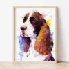 English Springer Spaniel watercolor painting the artwork on the T-shirt by Slaveika Aladjova