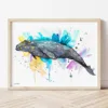 Gray Whale watercolor painting the artwork on the T-shirt by Slaveika Aladjova