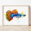 Guppy Fish watercolor painting the artwork on the T-shirt by Slaveika Aladjova