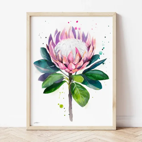 King Protea watercolor painting the artwork on the T-shirt by Slaveika Aladjova