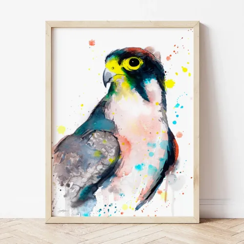 Lanner Falcon watercolor painting the artwork on the T-shirt by Slaveika Aladjova