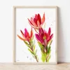 Leucadendron watercolor painting the artwork on the T-shirt by Slaveika Aladjova