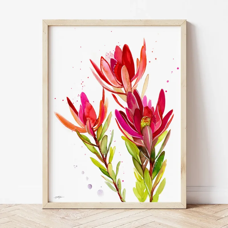 Leucadendron watercolor painting the artwork on the T-shirt by Slaveika Aladjova