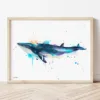 Minke Whale watercolor painting the artwork on the T-shirt by Slaveika Aladjova
