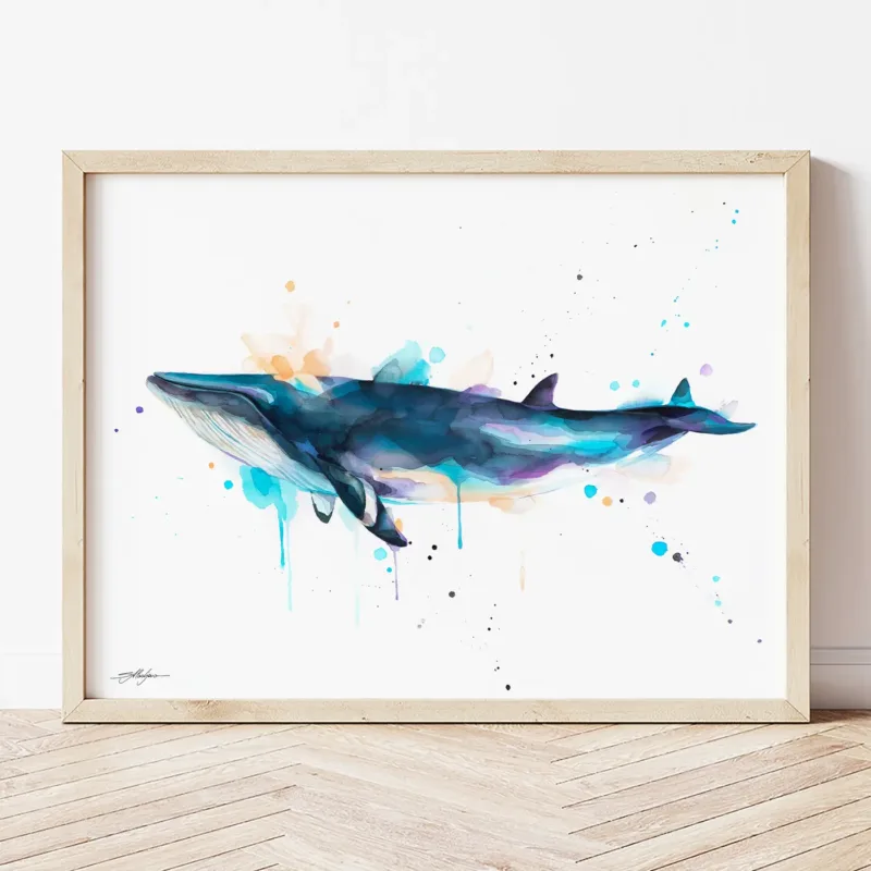 Minke Whale watercolor painting the artwork on the T-shirt by Slaveika Aladjova