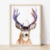 Mule Deer watercolor painting the artwork on the T-shirt by Slaveika Aladjova