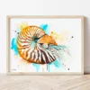 Nautilus watercolor painting the artwork on the T-shirt by Slaveika Aladjova