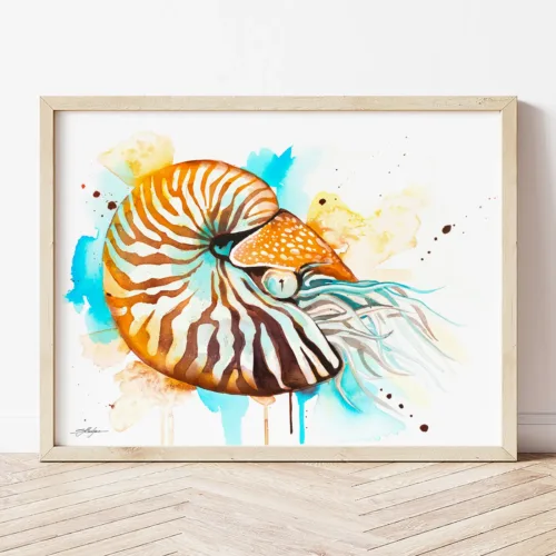 Nautilus watercolor painting the artwork on the T-shirt by Slaveika Aladjova