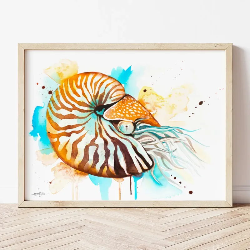 Nautilus watercolor painting the artwork on the T-shirt by Slaveika Aladjova