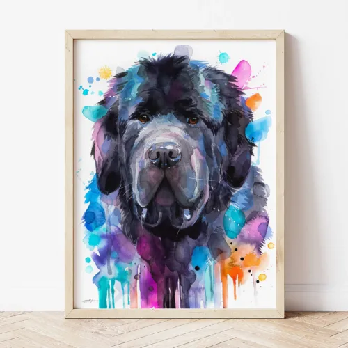 Newfoundland Dog watercolor painting the artwork on the T-shirt by Slaveika Aladjova