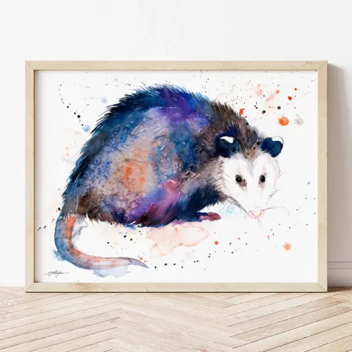 Opossum watercolor painting the artwork on the T-shirt by Slaveika Aladjova