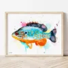 Orangespotted Sunfish watercolor painting the artwork on the T-shirt by Slaveika Aladjova