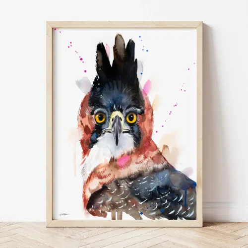 Ornate Hawk-Eagle watercolor painting the artwork on the T-shirt by Slaveika Aladjova
