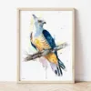 Pacific Baza watercolor painting the artwork on the T-shirt by Slaveika Aladjova