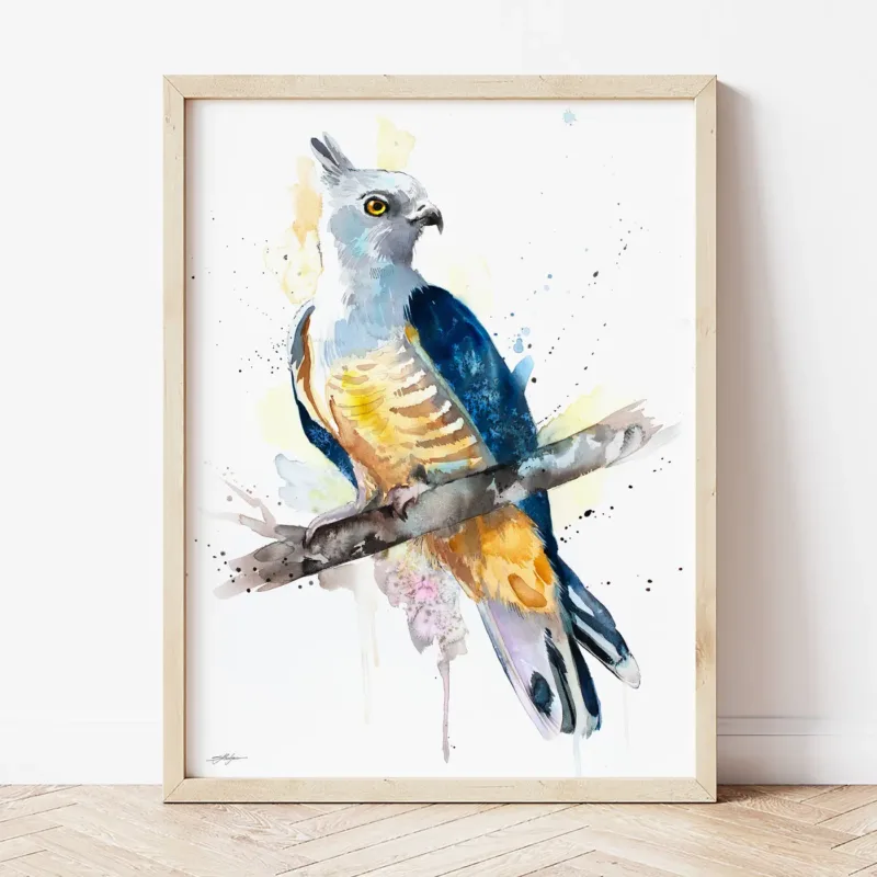 Pacific Baza watercolor painting the artwork on the T-shirt by Slaveika Aladjova